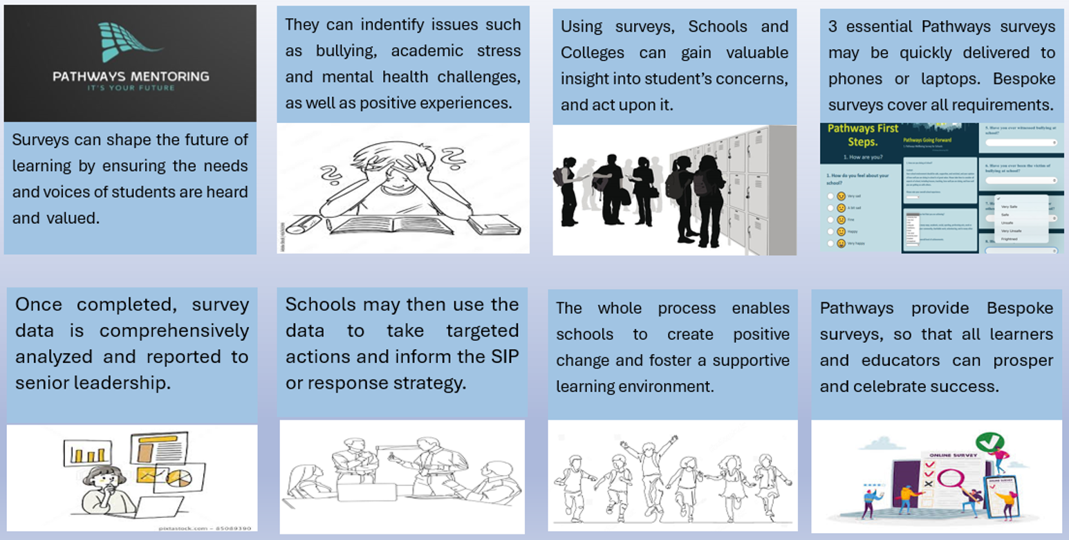 Surveys Storey